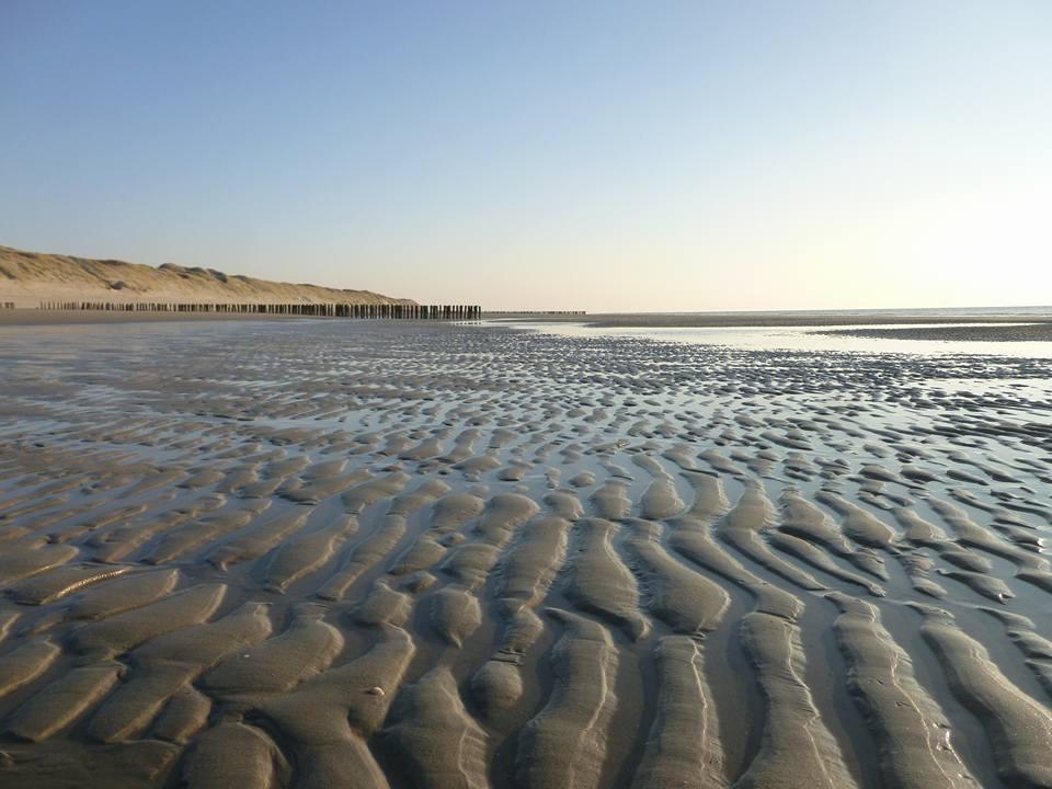 엘레메이트 La Casa Aan Zee 아파트 외부 사진